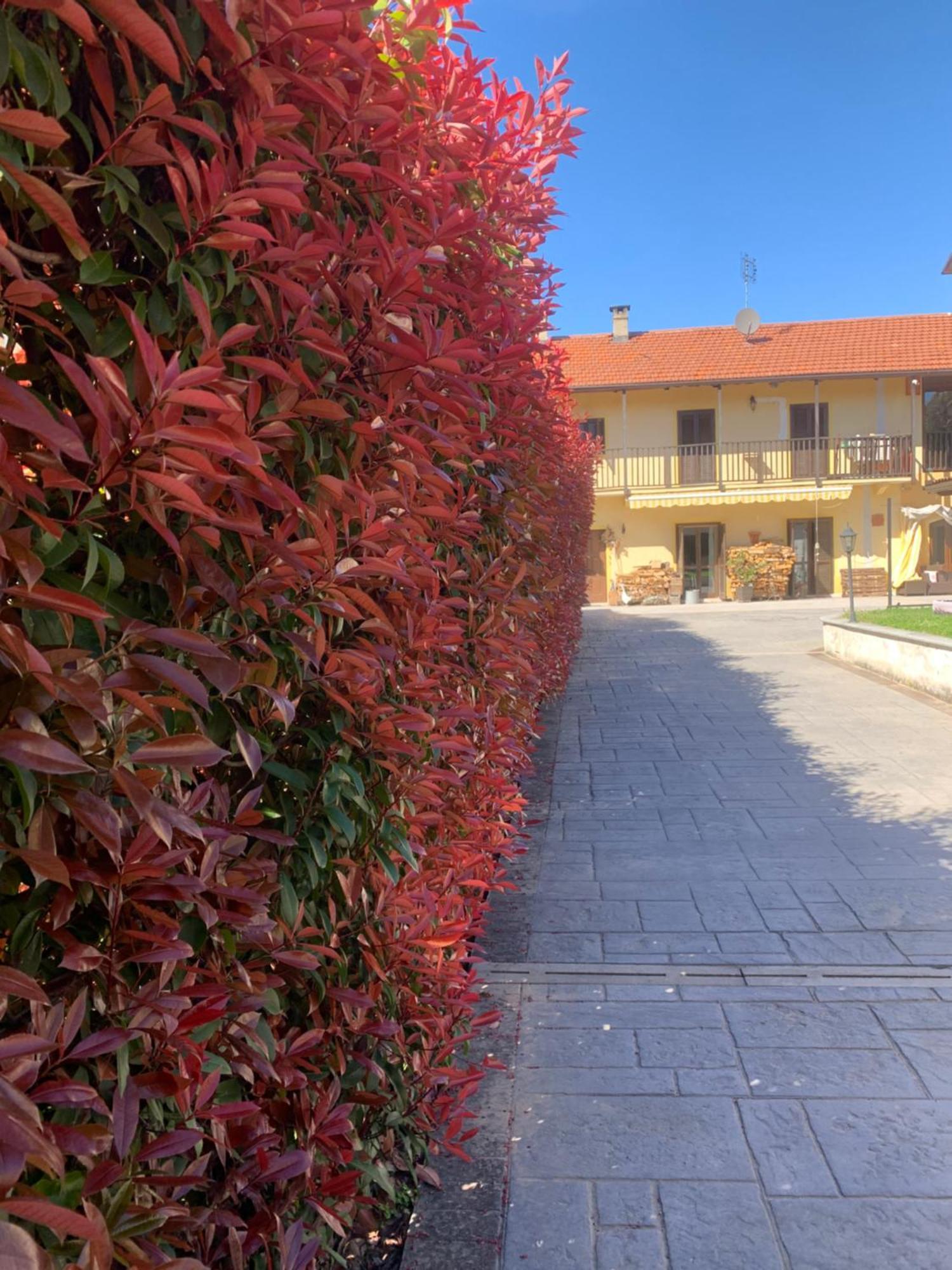 Casarte: Monolocale Terra Apartment Alpignano Luaran gambar